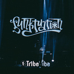 logo of funktuation band